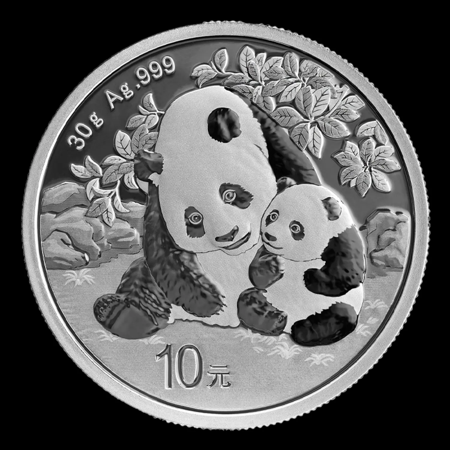 30g Silber China Panda 2024-China Mint Sale