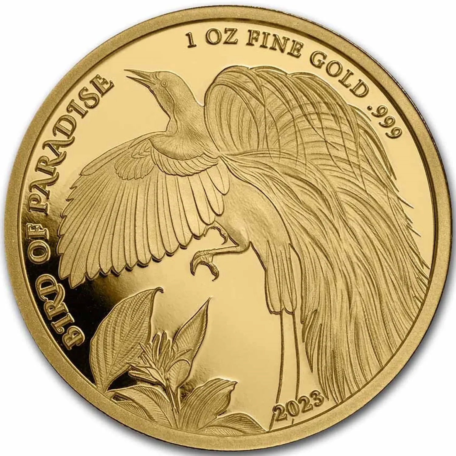 1 oz Gold - Bird Of Paradise - Papua New Guinea 2023 BU-Diverse Fashion