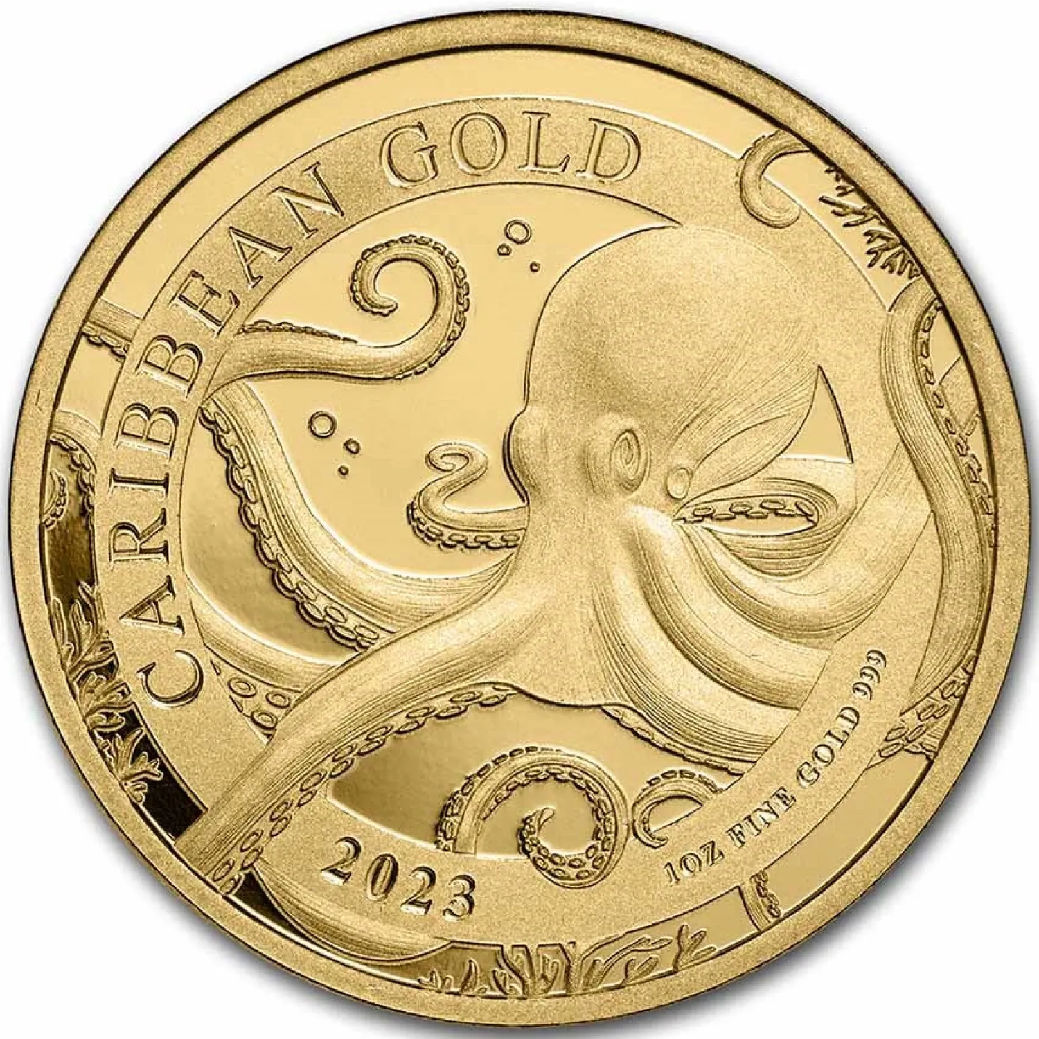 1 oz Gold - Caribbean Octopus Barbados 2023 BU-Diverse Store