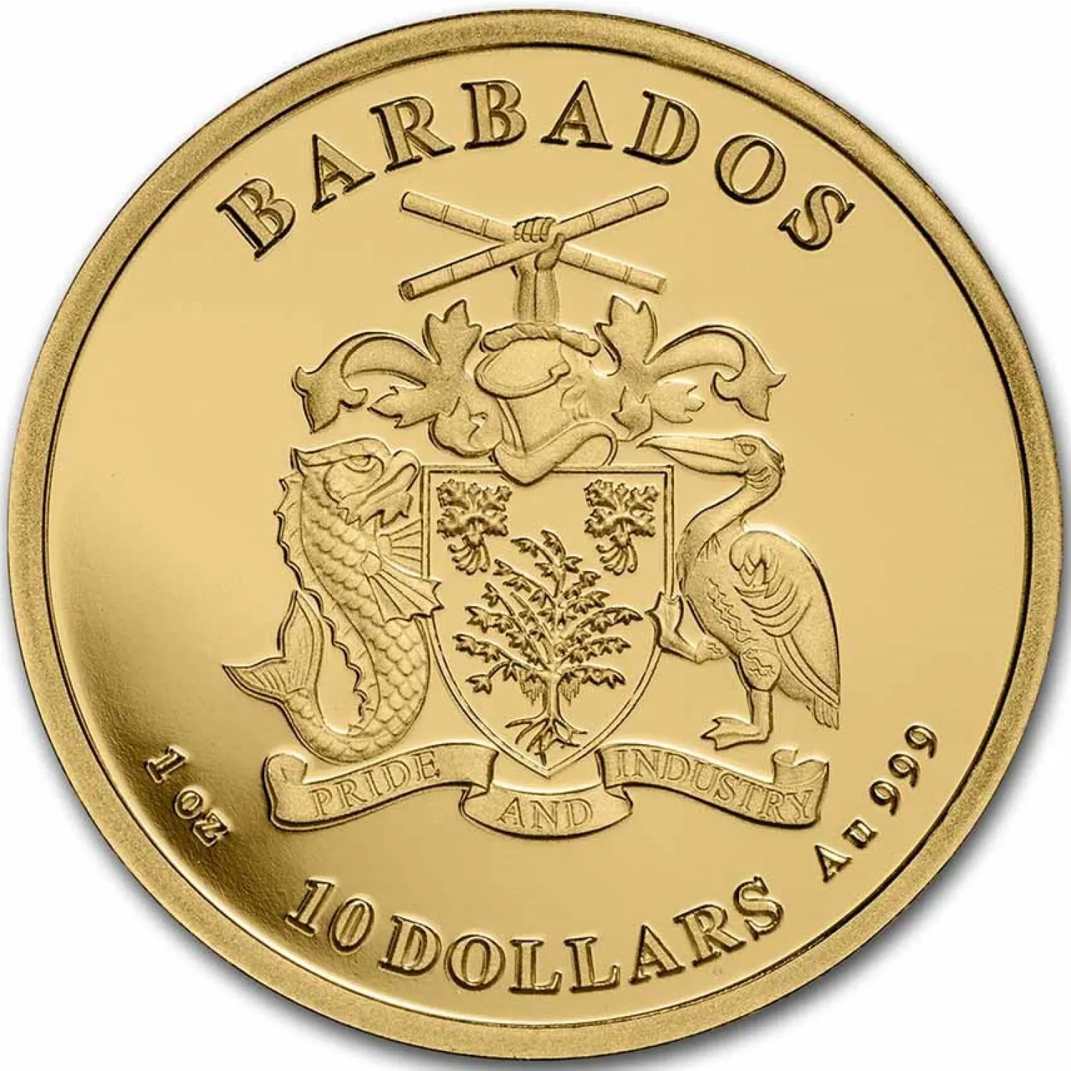 1 oz Gold - Caribbean Octopus Barbados 2023 BU-Diverse Store