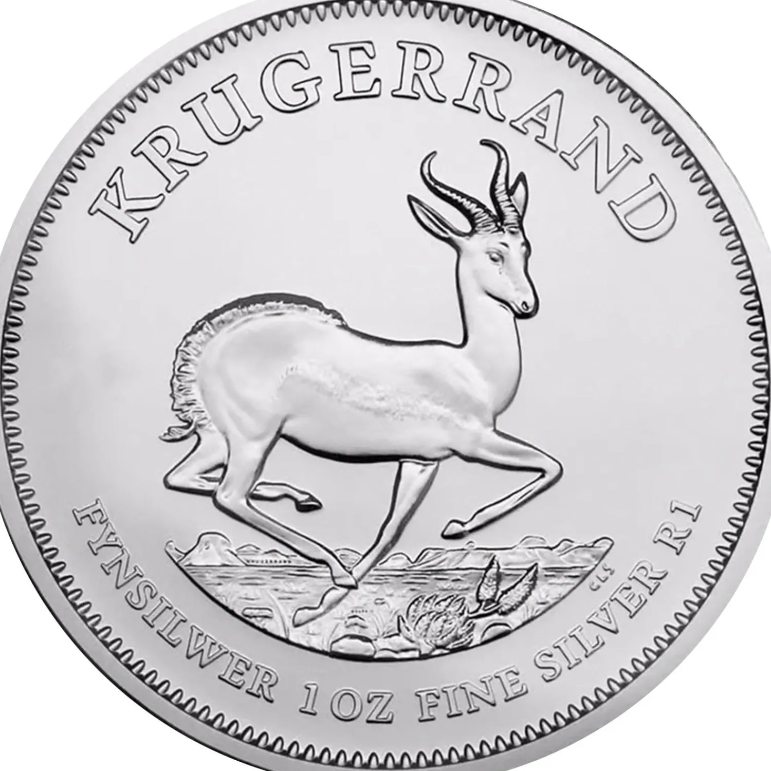 1 Unze Silber Krügerrand 2024-RAND REFINERY Cheap